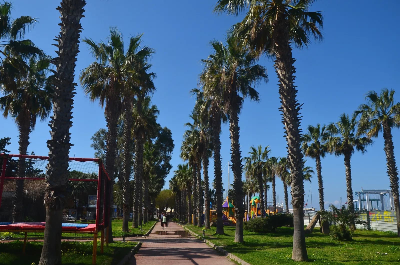 A paved promenade lined with tall palm trees in Yalıkavak, with a playground on the right and marina masts behind