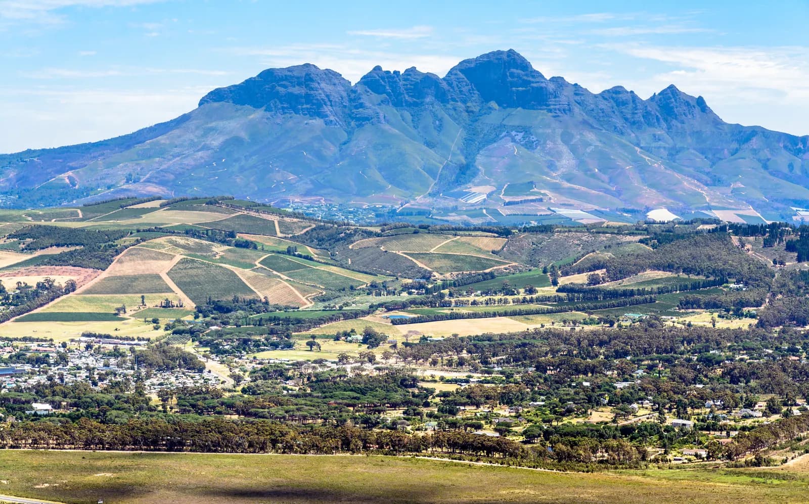 Vineyards and farmland below a mountain range in the Stellenbosch area, with houses among trees in the foreground
