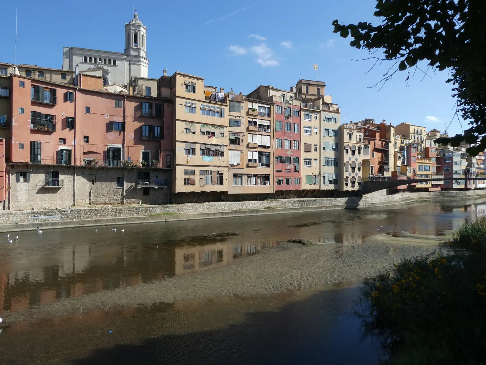 The painted houses of Girona's old town rising straight from the river Onyar, with the cathedral's bell tower above the rooftops.