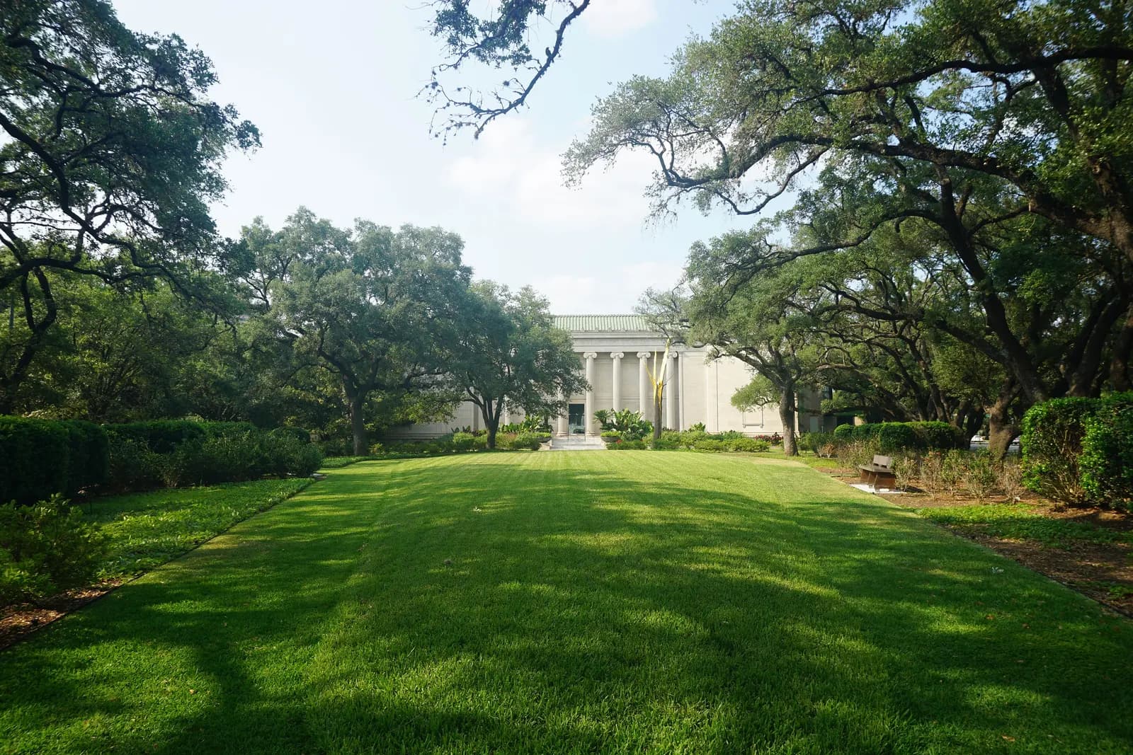 The columned front of the Museum of Fine Arts, Houston, at the end of a lawn lined with live oaks