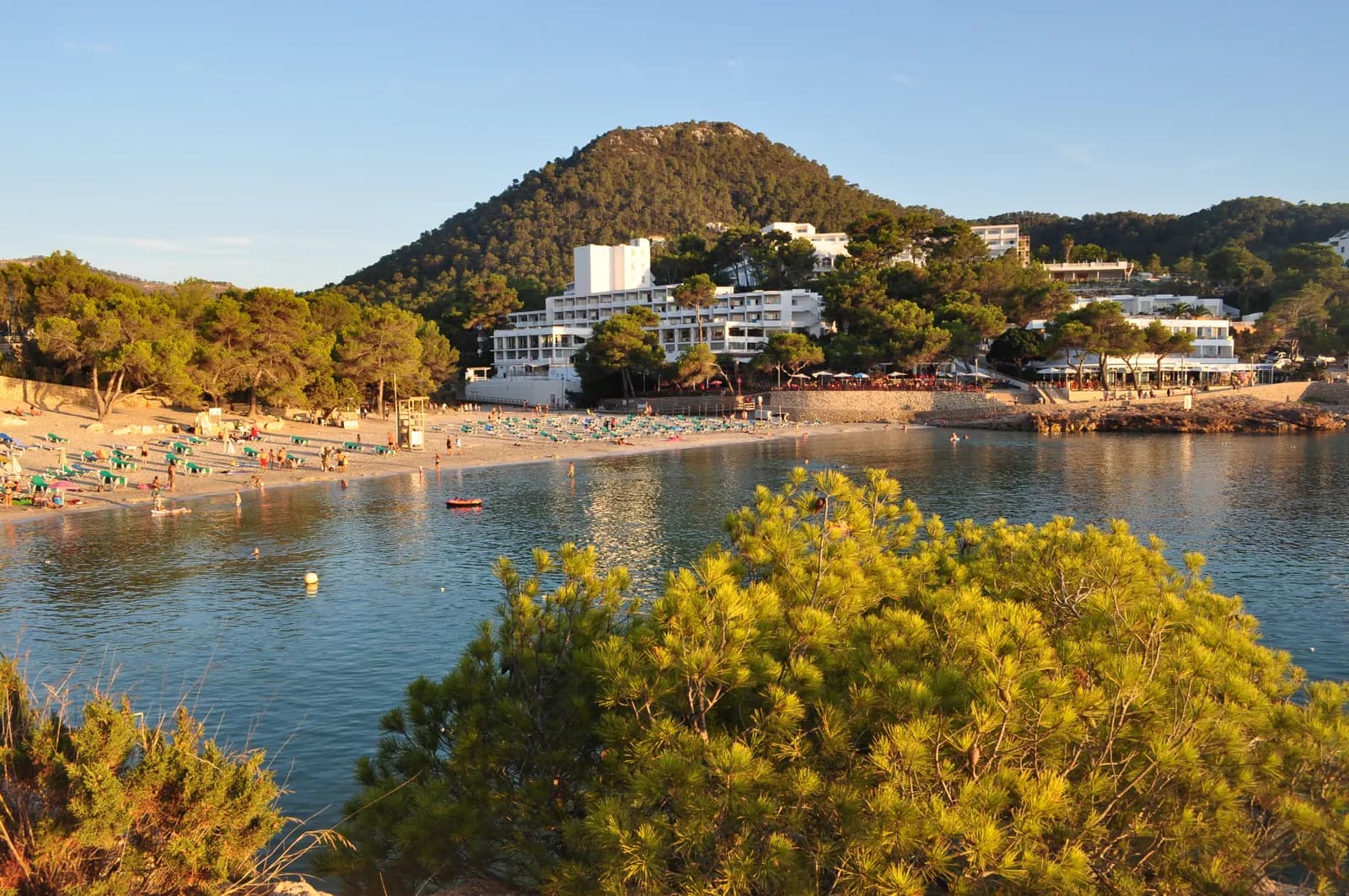 The small beach and bay of Portinatx in late afternoon sun, with sunbeds, hotels among pine trees and a wooded hill.