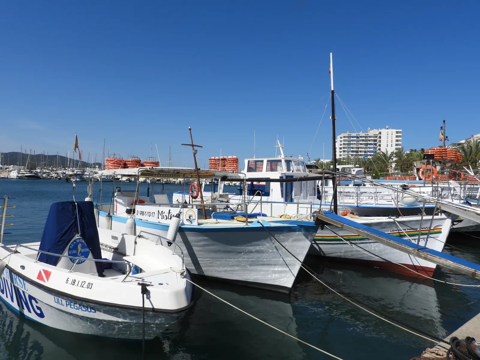 Excursion boats and a diving boat moored in the harbour of Sant Antoni de Portmany, with a hotel block and palm trees behind.