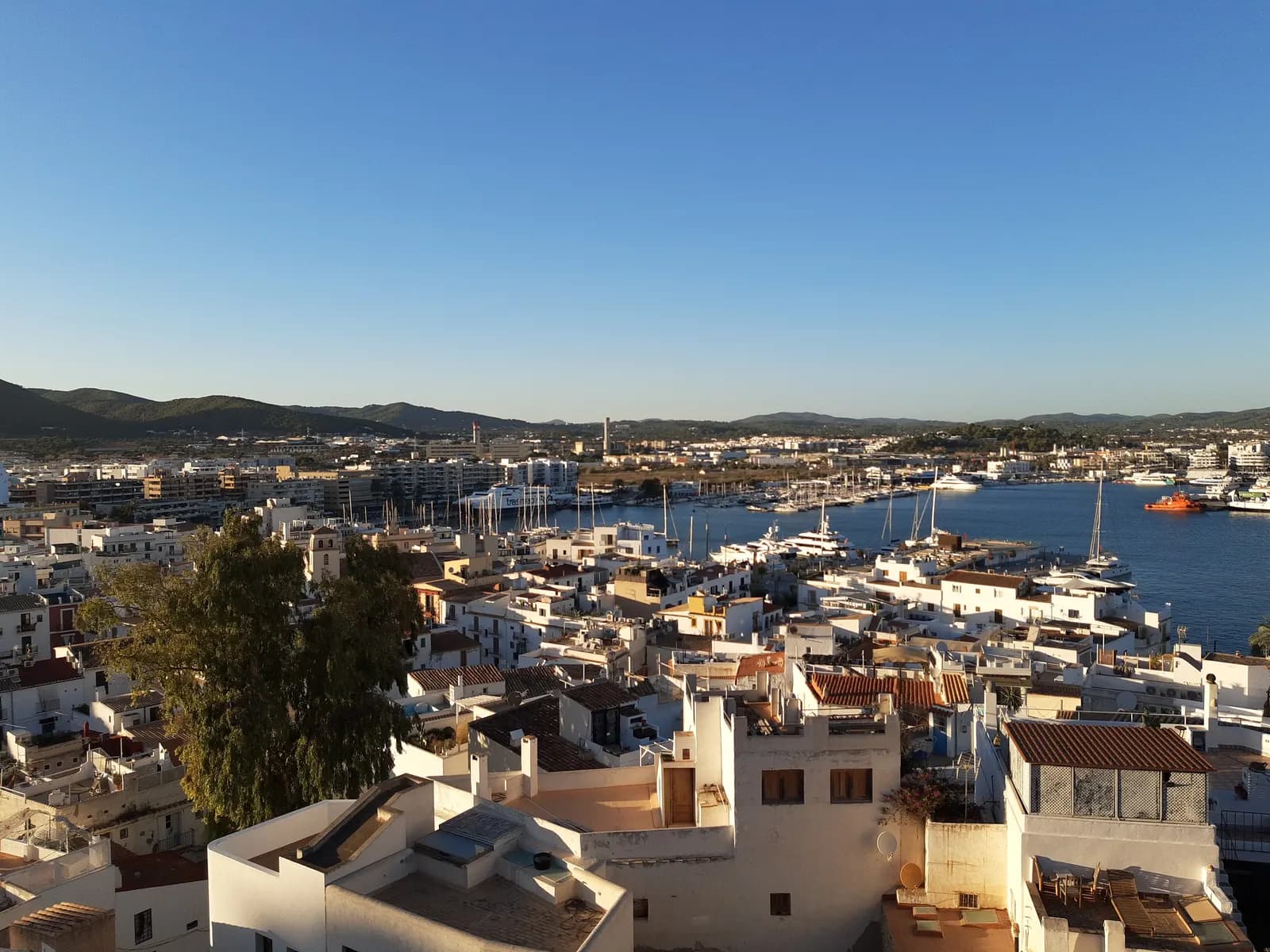 Ibiza Town seen from the castle in Dalt Vila, with white houses and roofs running down to the harbour and marina, and green hills behind.
