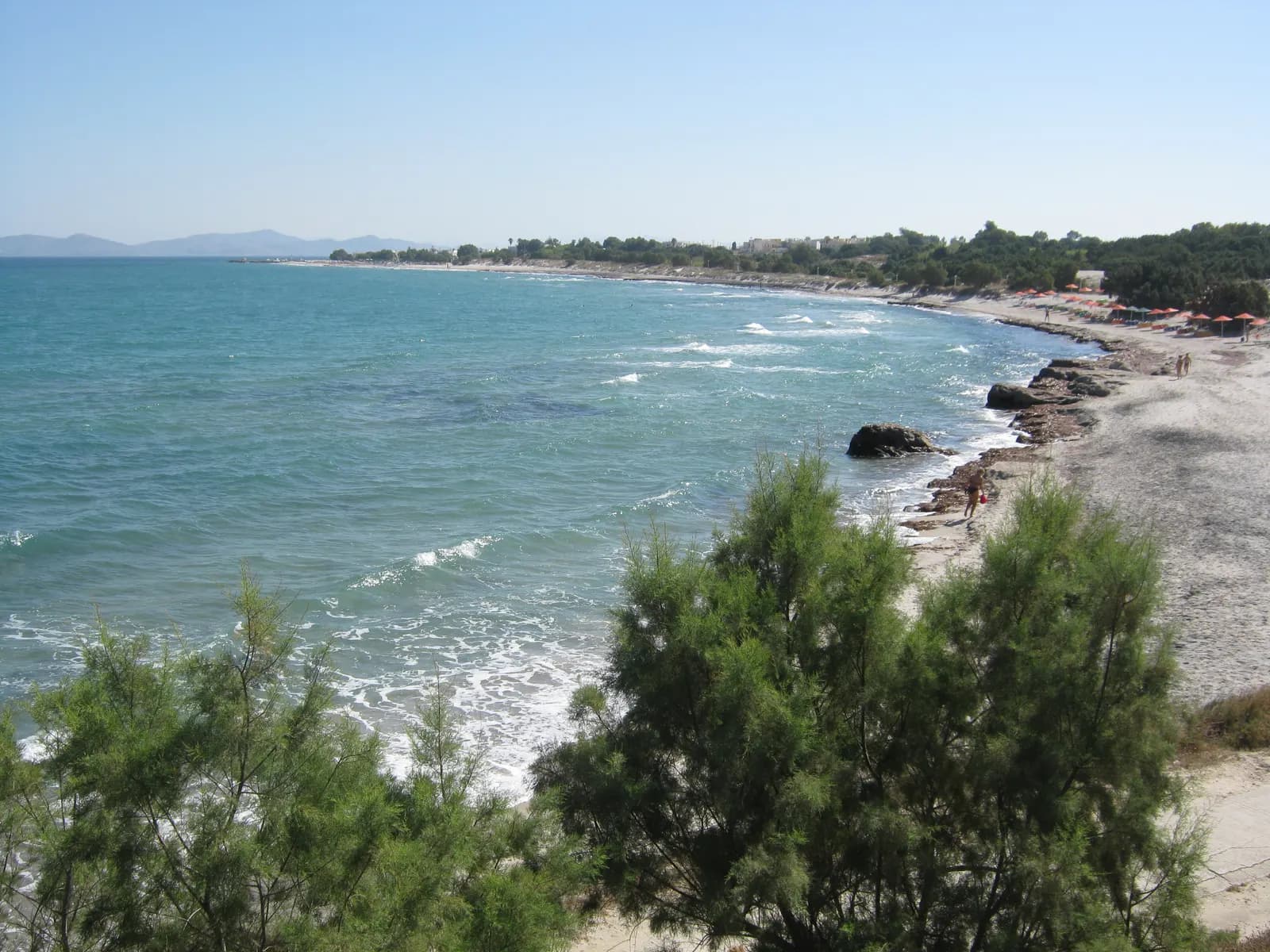 The curving sand beach of Mastichari bay with sunshades along the shore, turquoise water and tamarisk trees in the foreground