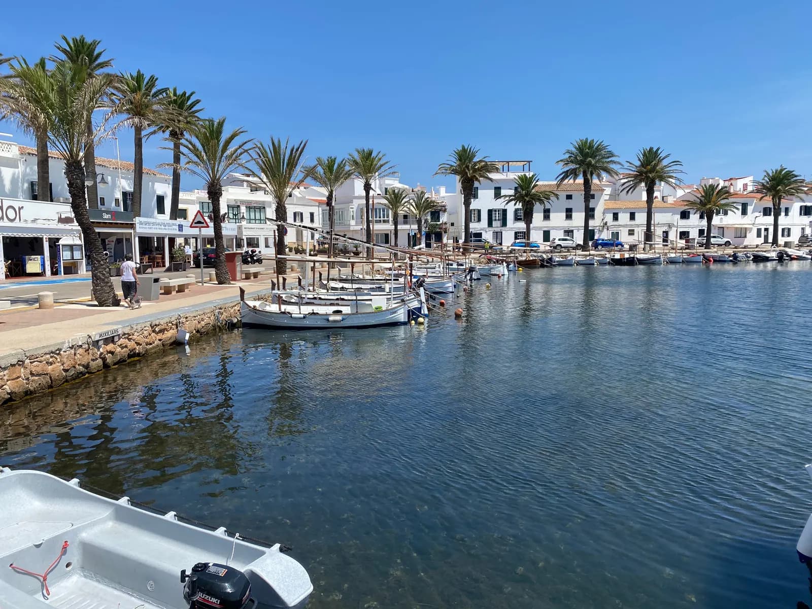 Palm trees and white houses along the harbour front of Fornells, with traditional boats moored on calm water.