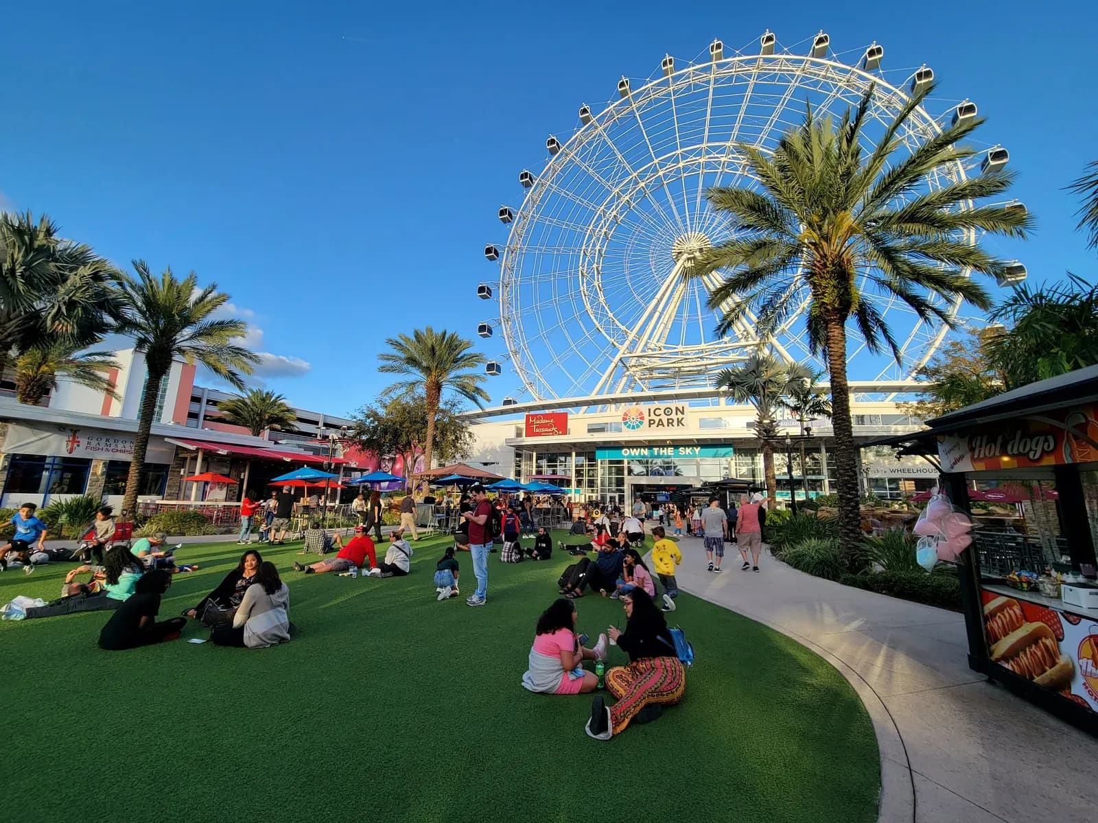 The large white observation wheel at ICON Park on International Drive behind palm trees, with people sitting on a lawn and restaurants around the plaza under a blue sky