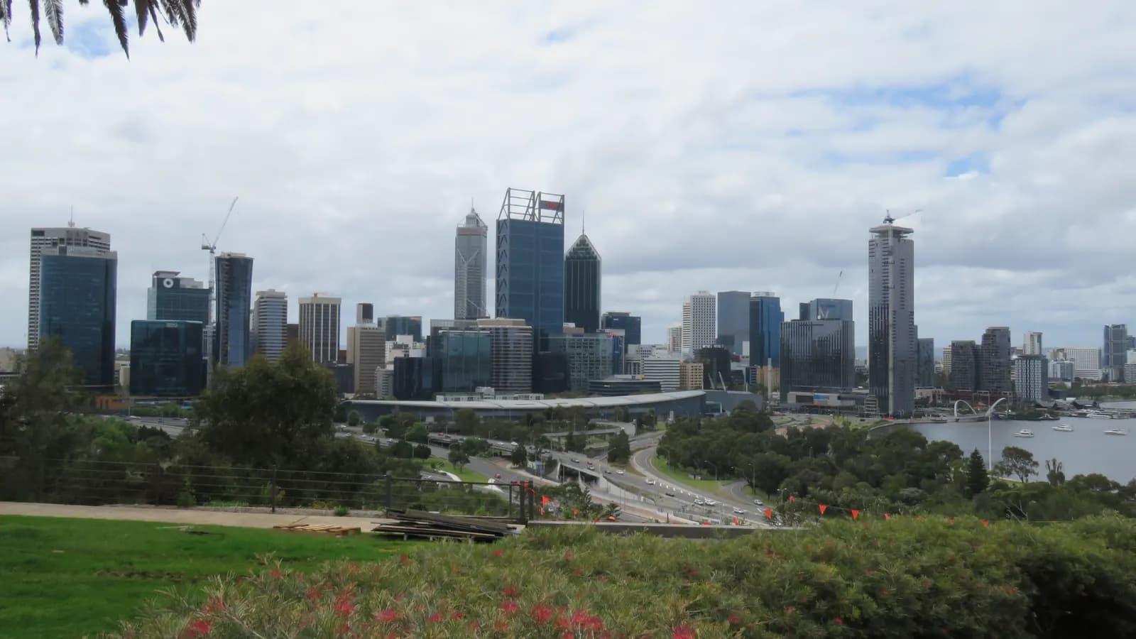 The Perth city skyline seen from Kings Park, with roads and trees below, the Swan River on the right and flowering shrubs in the foreground
