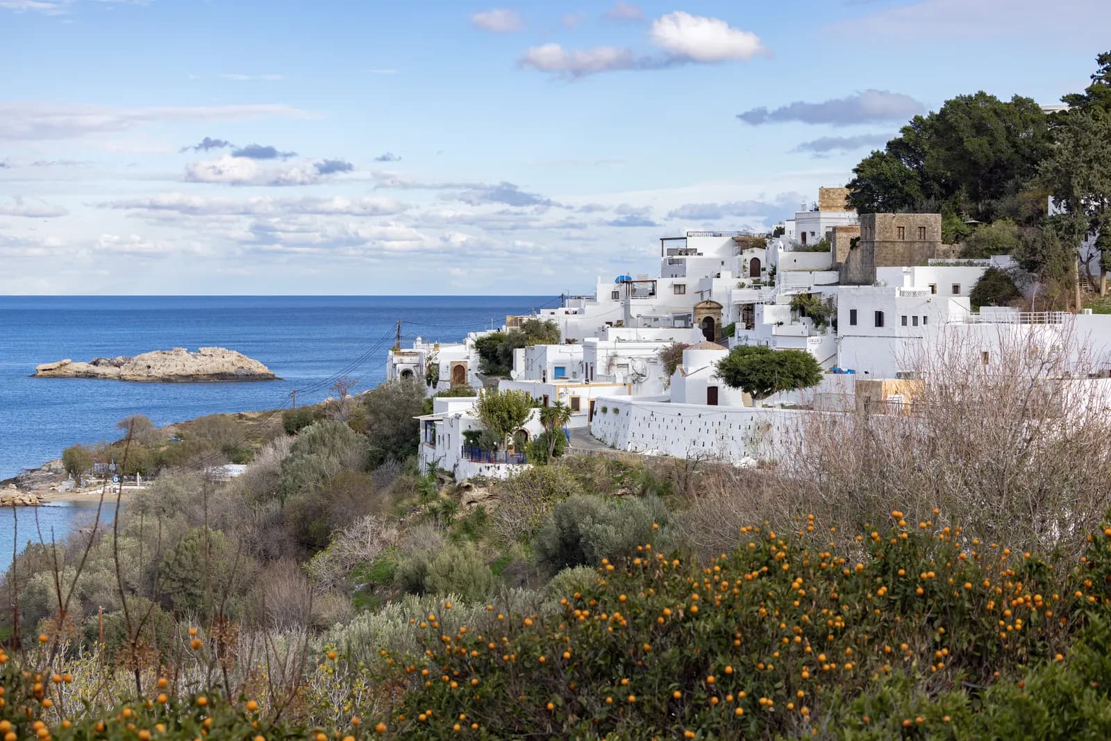 Whitewashed houses of Lindos village on a hillside above the sea, with a rocky islet offshore and shrubs with small orange fruit in the foreground