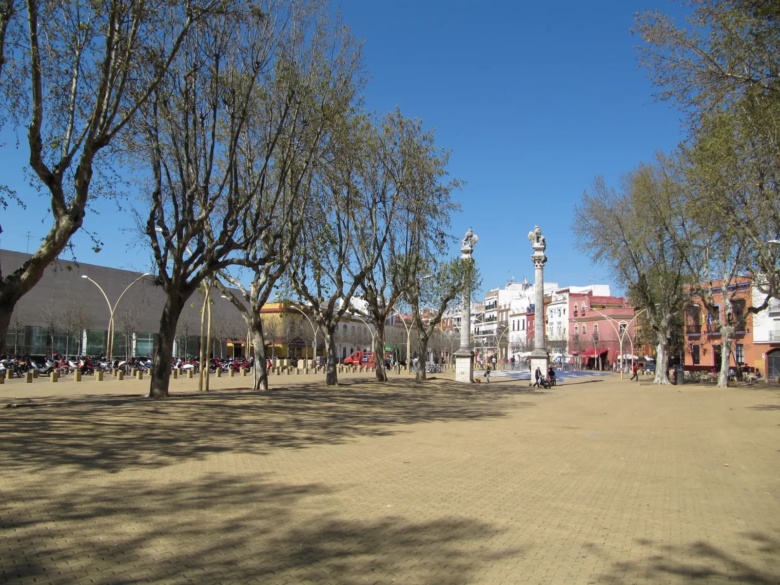 The Alameda de Hércules in Seville, a wide square lined with plane trees, with two tall columns and colourful houses at the far end.