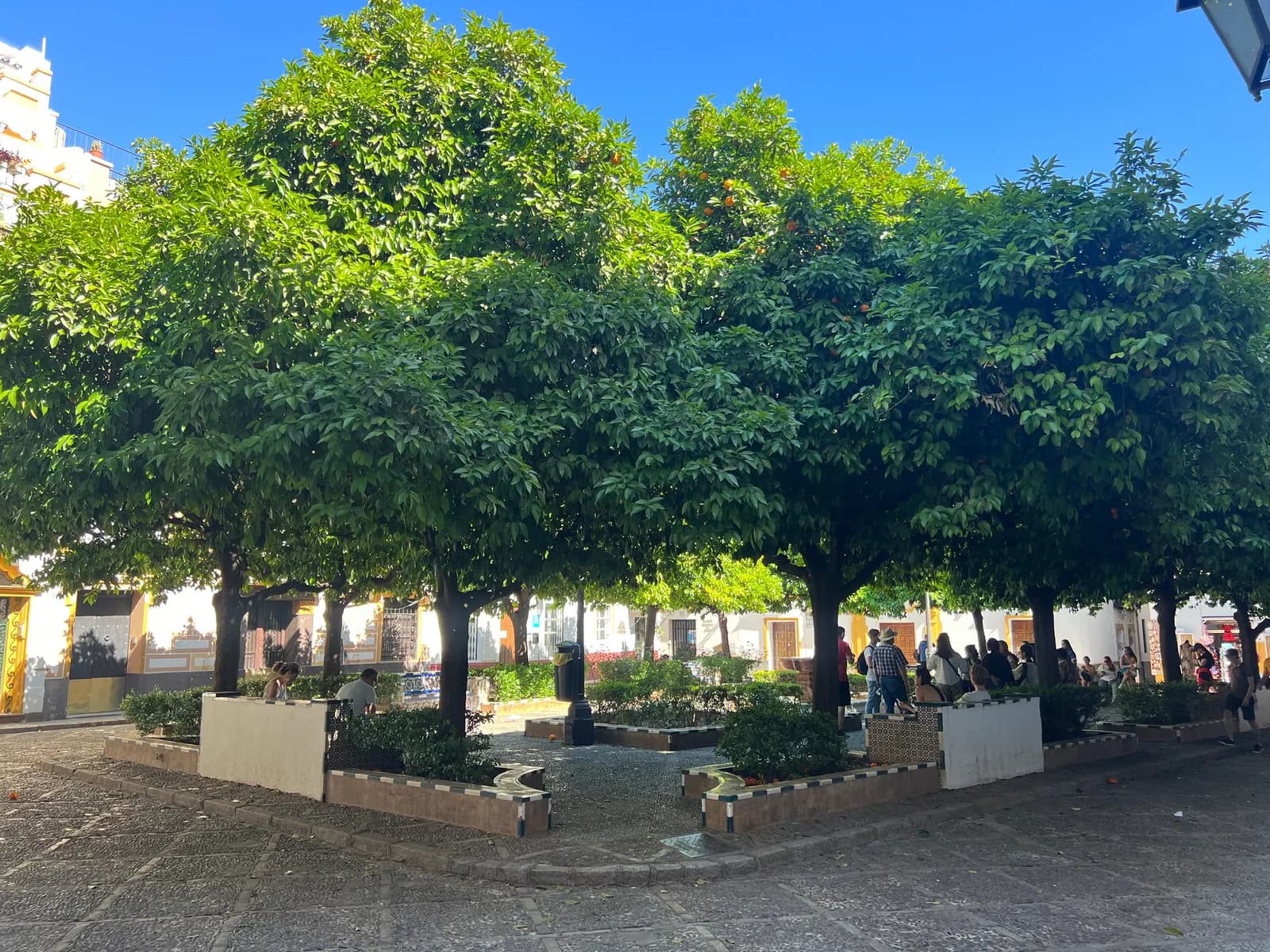 Plaza de Doña Elvira in the Barrio de Santa Cruz, a small square shaded by orange trees, with tiled benches and visitors in the shade.