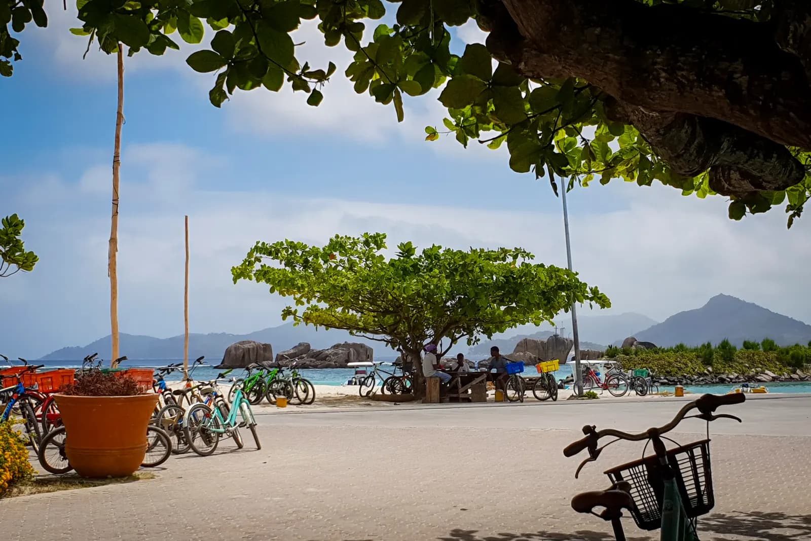 Bicycles parked on a paved area by the shore on La Digue, with a shady tree, granite rocks at the water's edge and hills across the sea