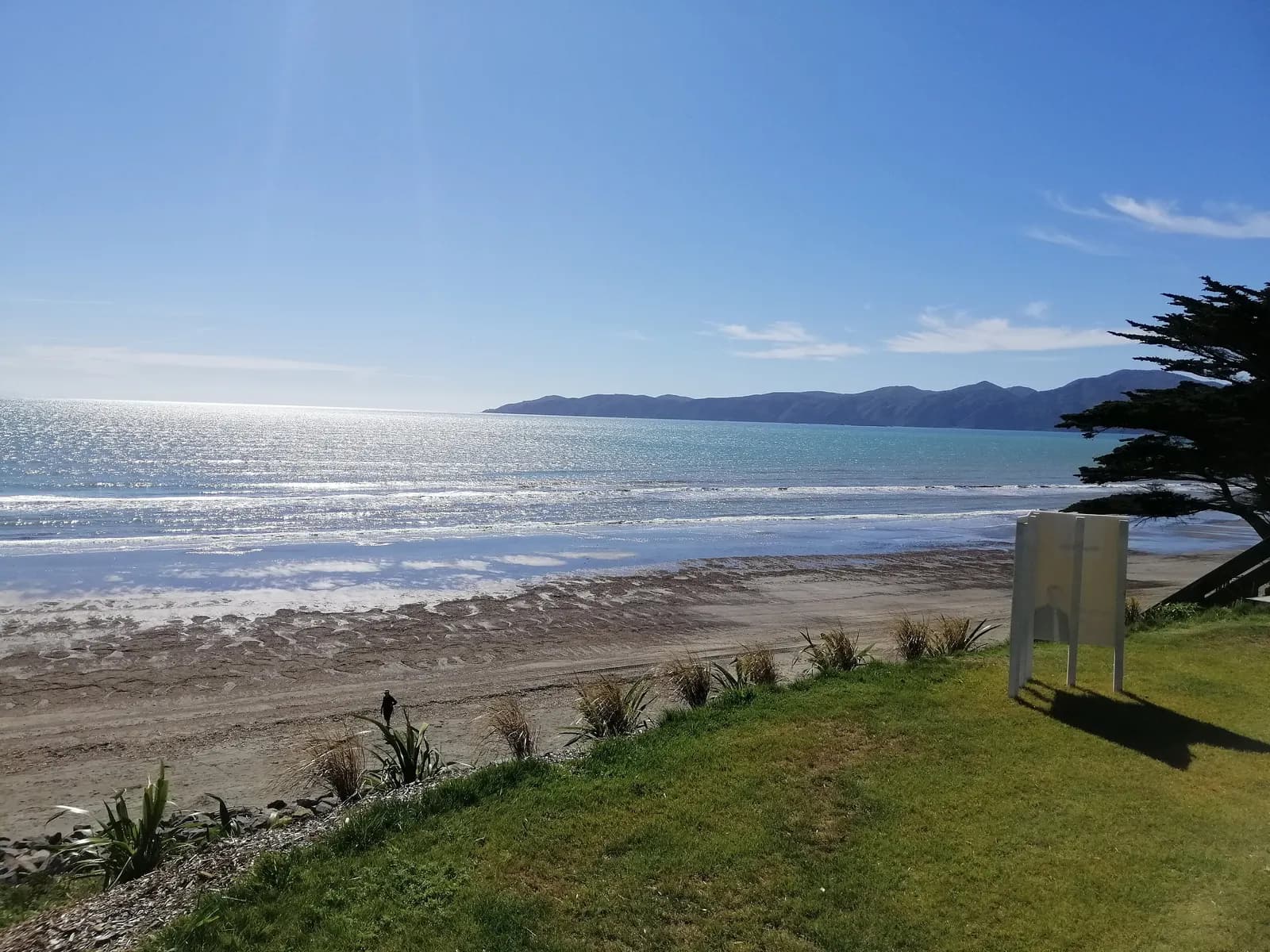 Paraparaumu Beach at low tide, with grass and flax in the foreground and Kapiti Island across the water