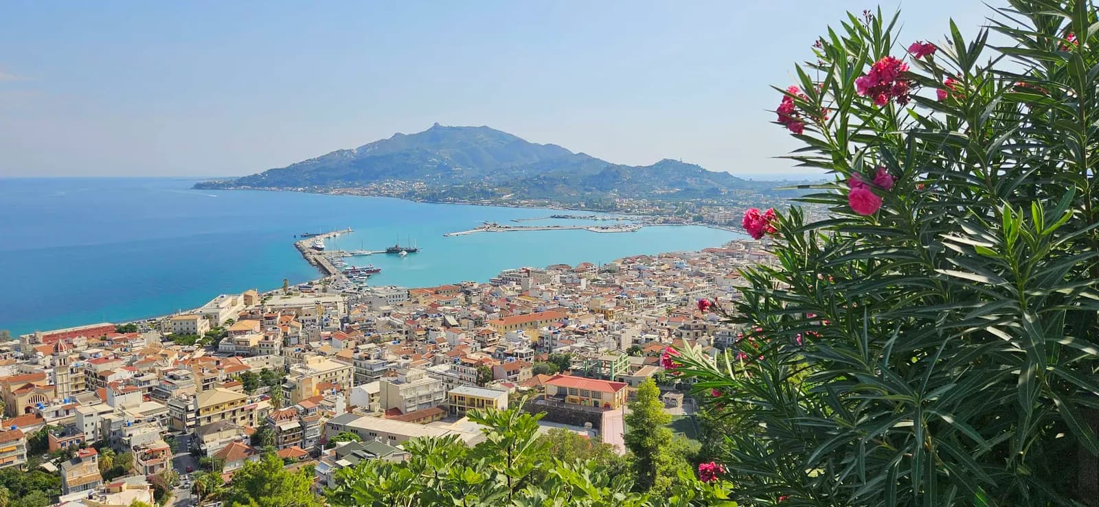Zakynthos Town and its harbour seen from Bochali hill, with the breakwaters, Mount Skopos across the bay and pink oleander in the foreground