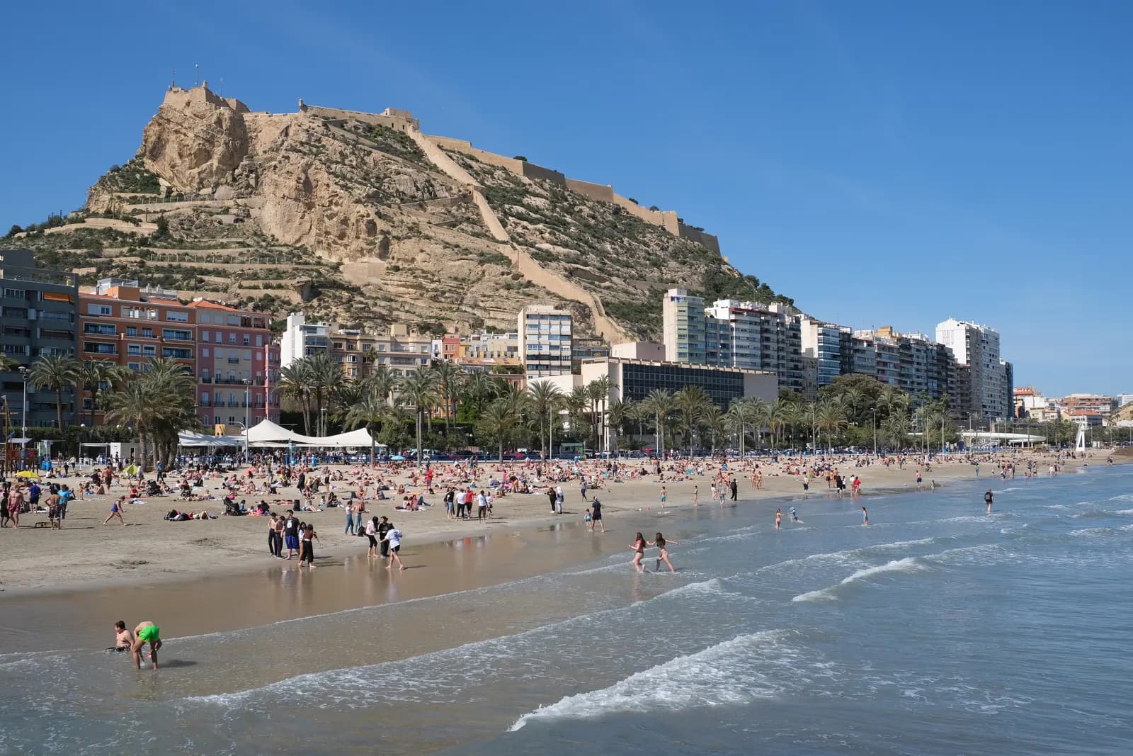 Postiguet beach in Alicante with swimmers and sunbathers, palm trees and apartment blocks below Mount Benacantil and the walls of Santa Bárbara castle.