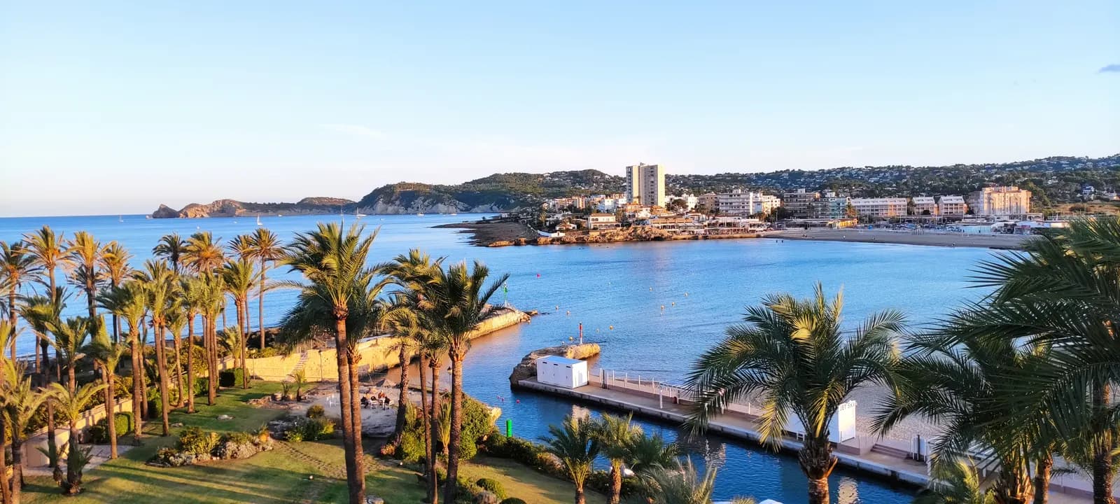 The bay of Xàbia in the evening sun, with palm trees in the foreground, the harbour wall, the Arenal beach and houses on the hills.