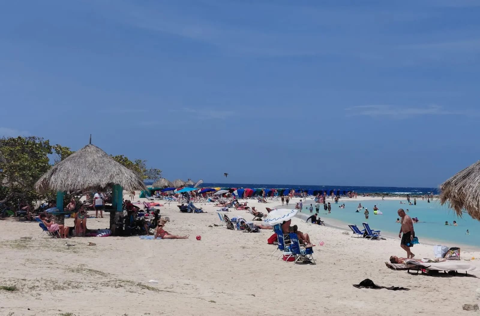 Baby Beach near San Nicolas, with a thatched shade, beach chairs and umbrellas on the sand and swimmers in the calm water