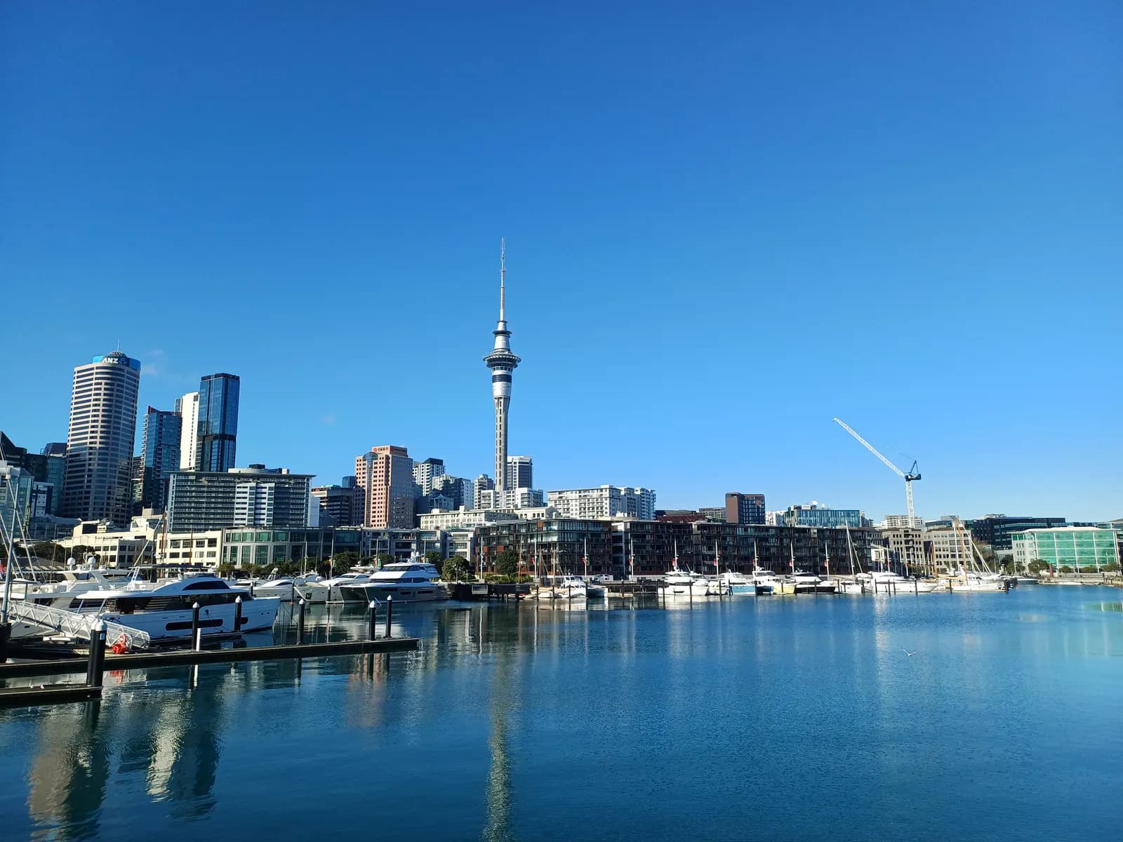 Boats moored in Viaduct Harbour with the Sky Tower and the high-rise buildings of central Auckland behind, under a clear blue sky