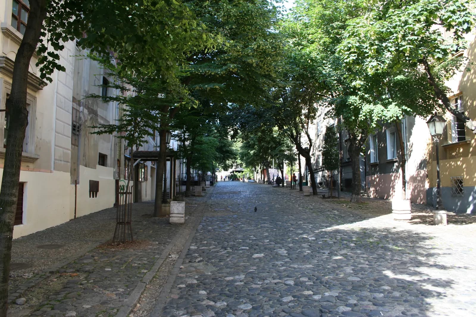 The cobbled Skadarska street in Skadarlija, Belgrade, lined with low houses and shaded by trees