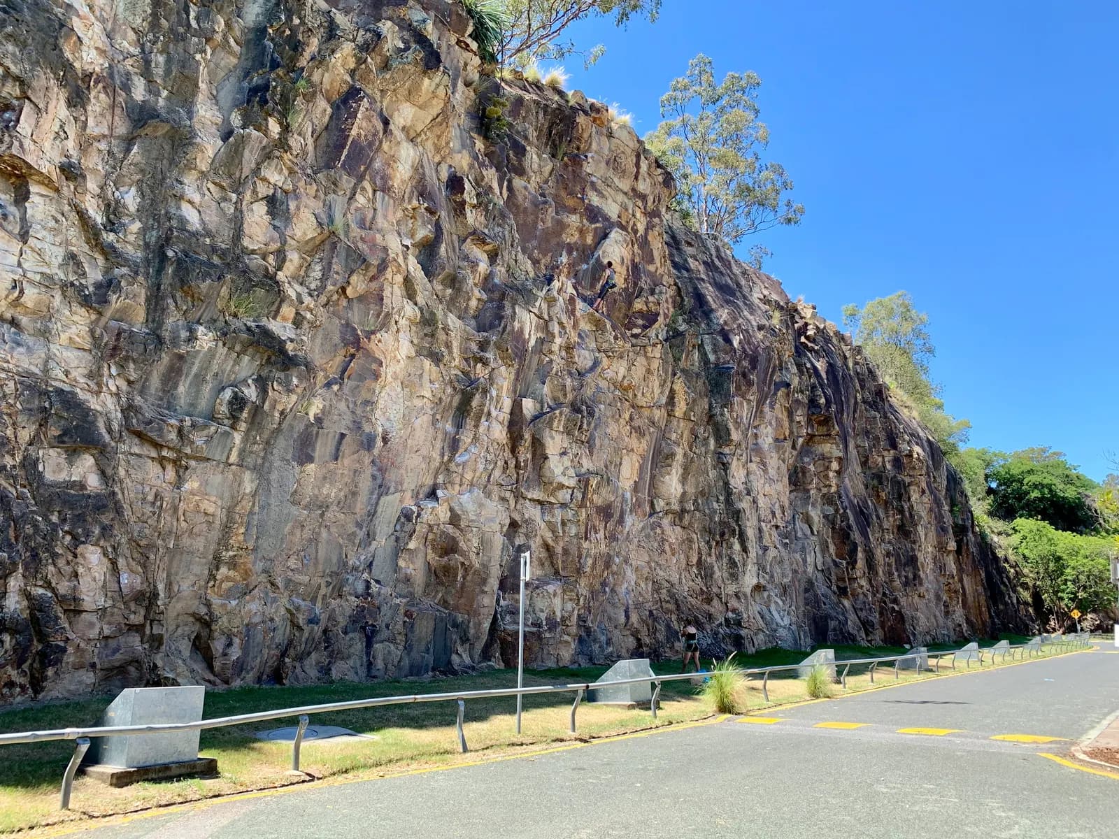 The Kangaroo Point Cliffs in Brisbane, a tall rock face with trees along the top, and a grass verge, railings and a road at its base