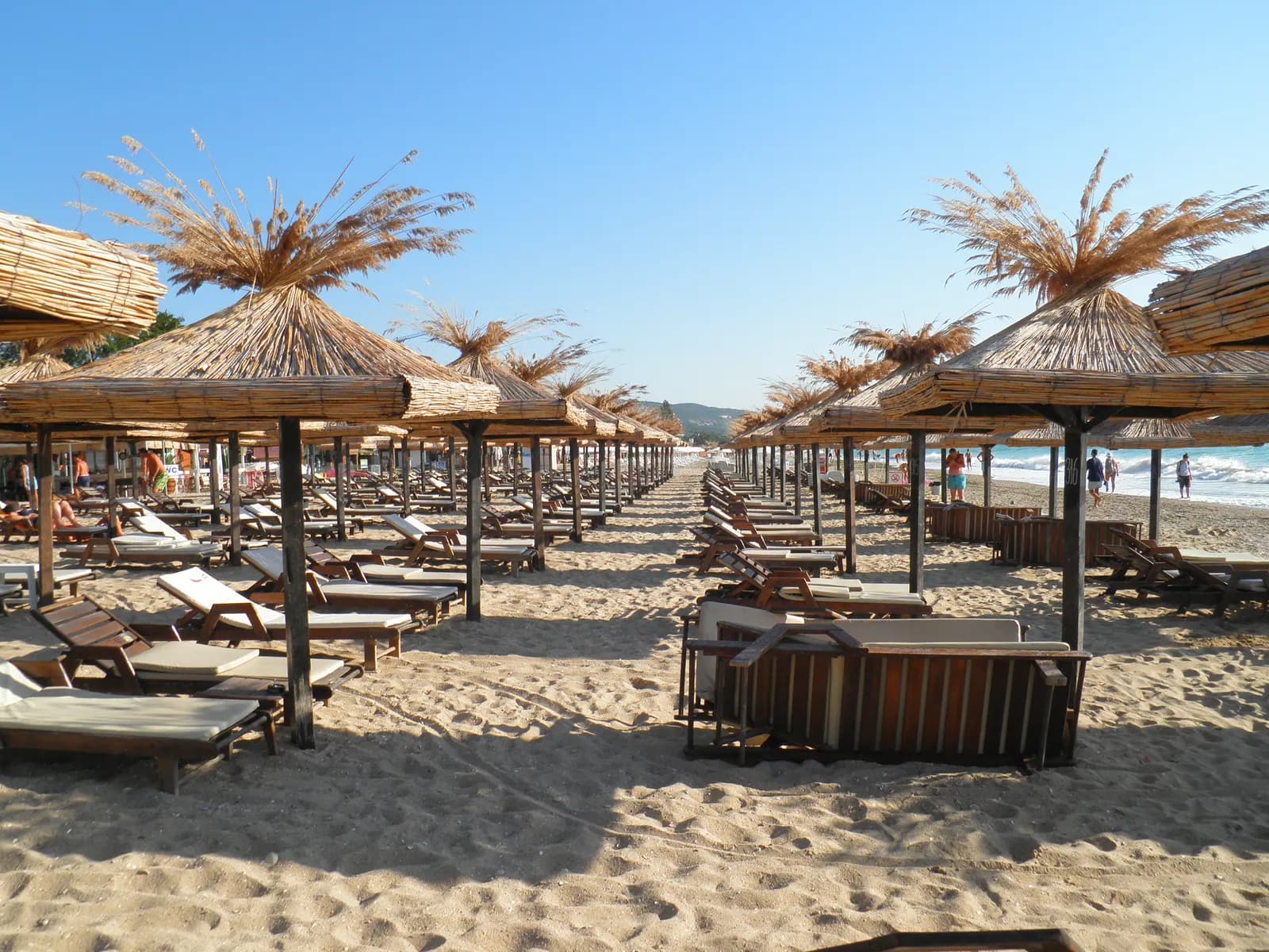 Rows of wooden sun loungers under straw umbrellas on the sand at Golden Sands, with the sea on the right and wooded hills in the distance