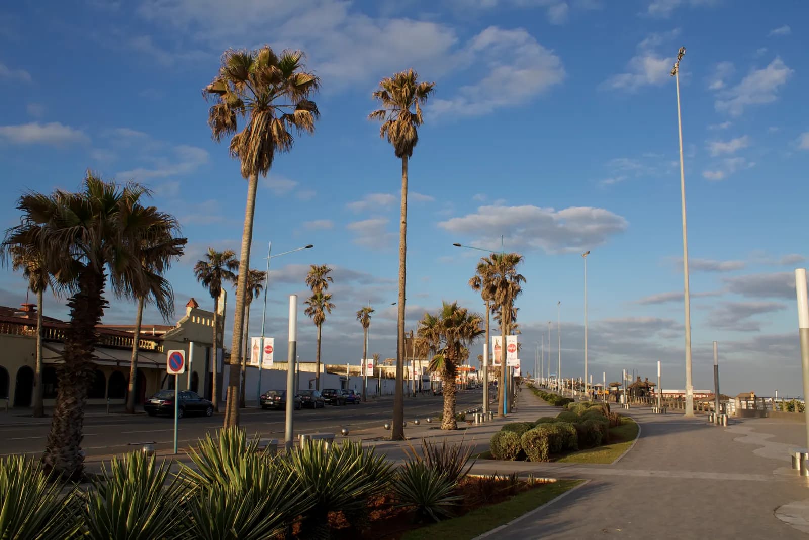 The Boulevard de la Corniche at Aïn Diab in early morning sun, a wide seafront promenade lined with tall palms and lamp posts beside the road