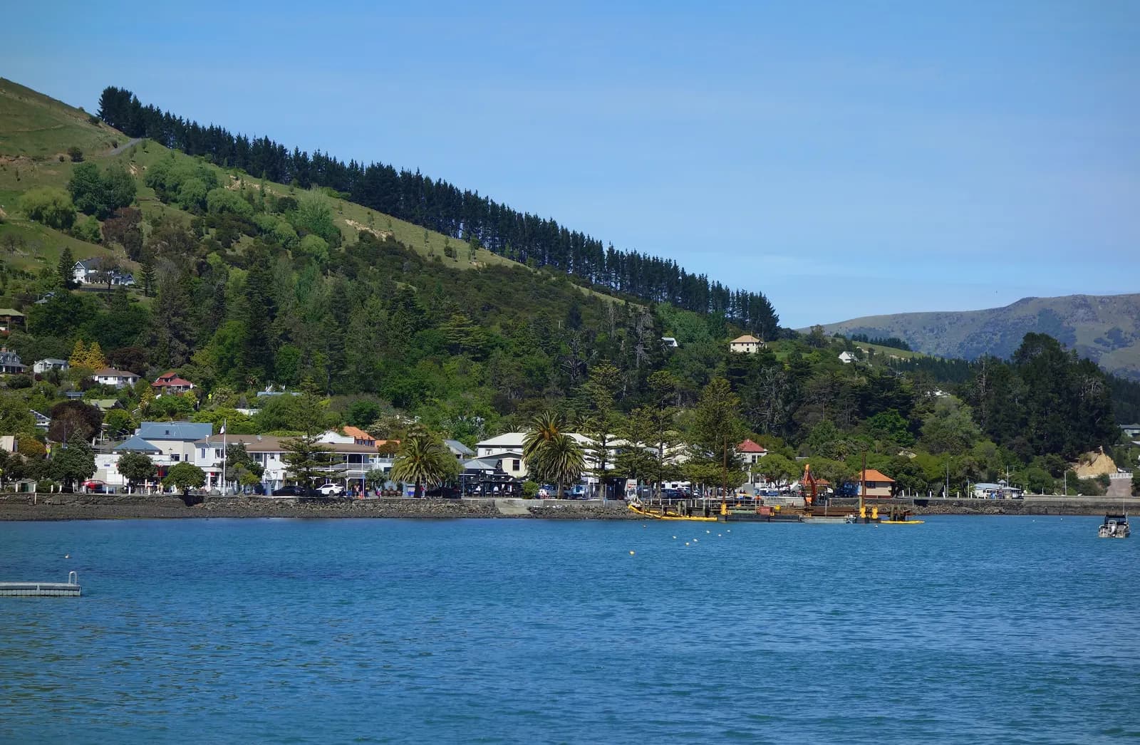 Akaroa's waterfront buildings along the shore of Akaroa Harbour, below a hillside of trees and a row of pines