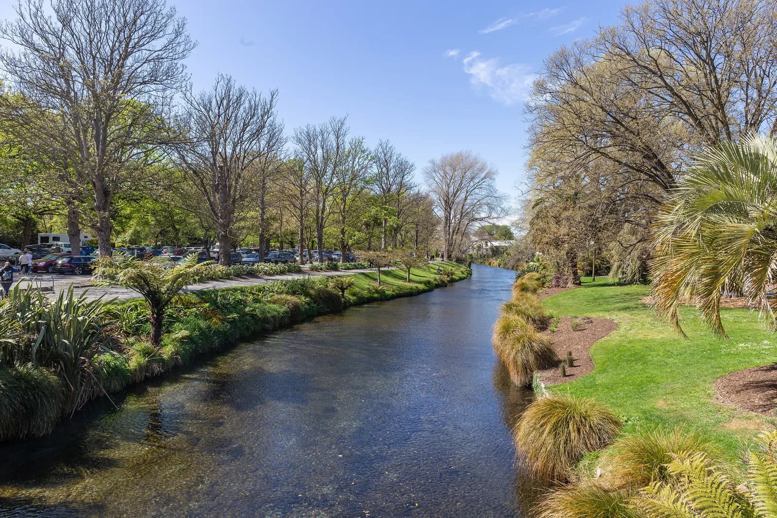 The clear water of the River Avon beside the Christchurch Botanic Gardens, with lawns and tussocks on one bank and a tree-lined car park on the other