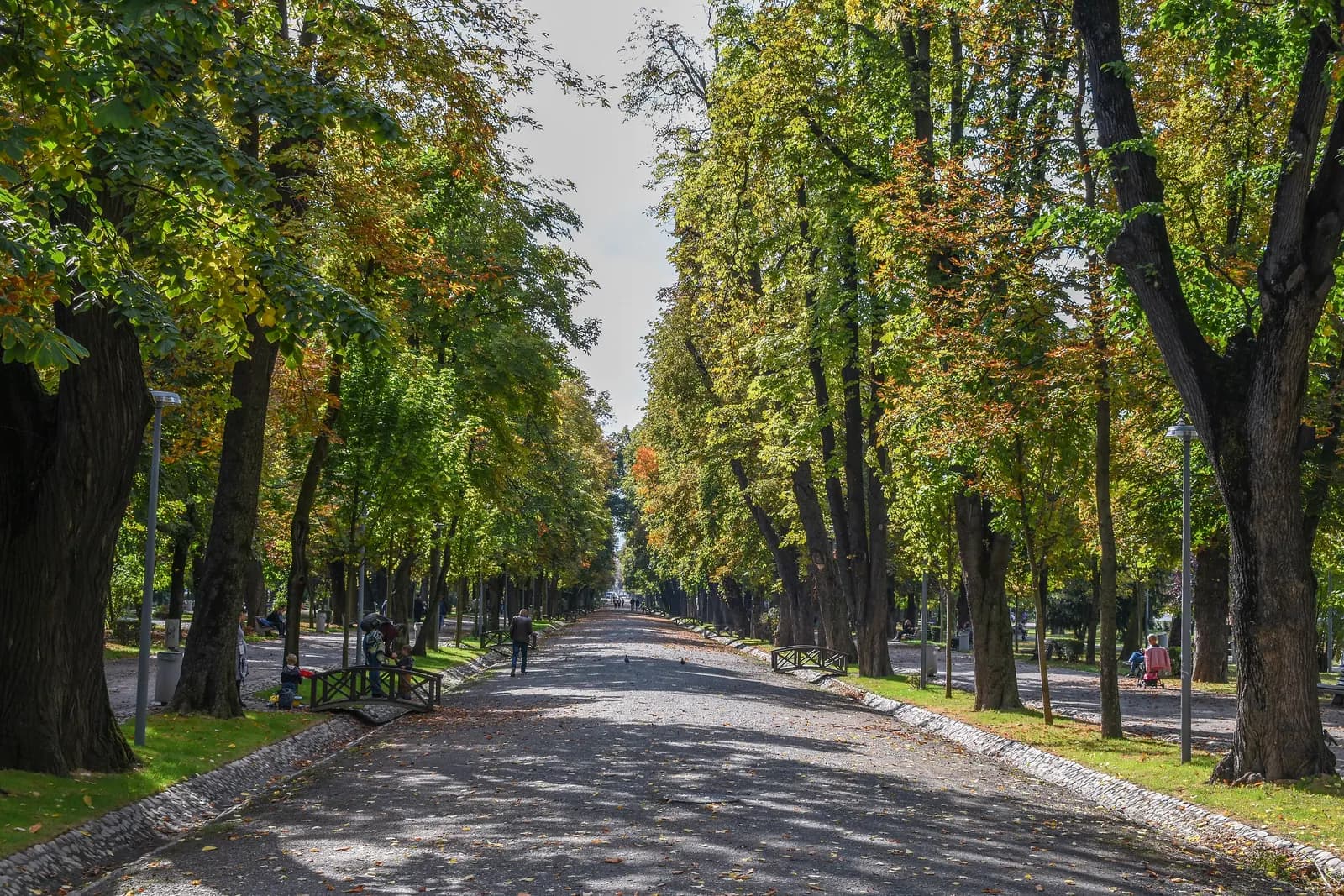 A wide tree-lined alley in Cluj-Napoca's Central Park, shaded by tall trees, with benches and lamp posts along the edges