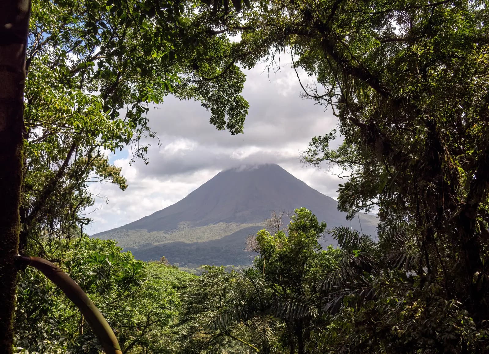 The cone of Arenal Volcano under a cap of cloud, framed by trees and forest in the foreground