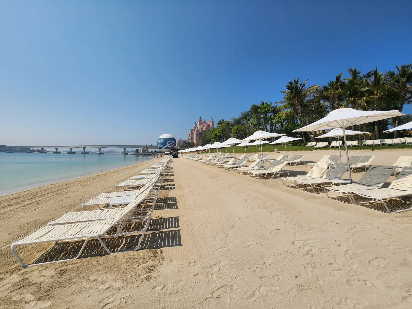 Rows of white sun loungers and parasols on a beach on Palm Jumeirah, with palm trees, a bridge and a pink hotel tower in the distance