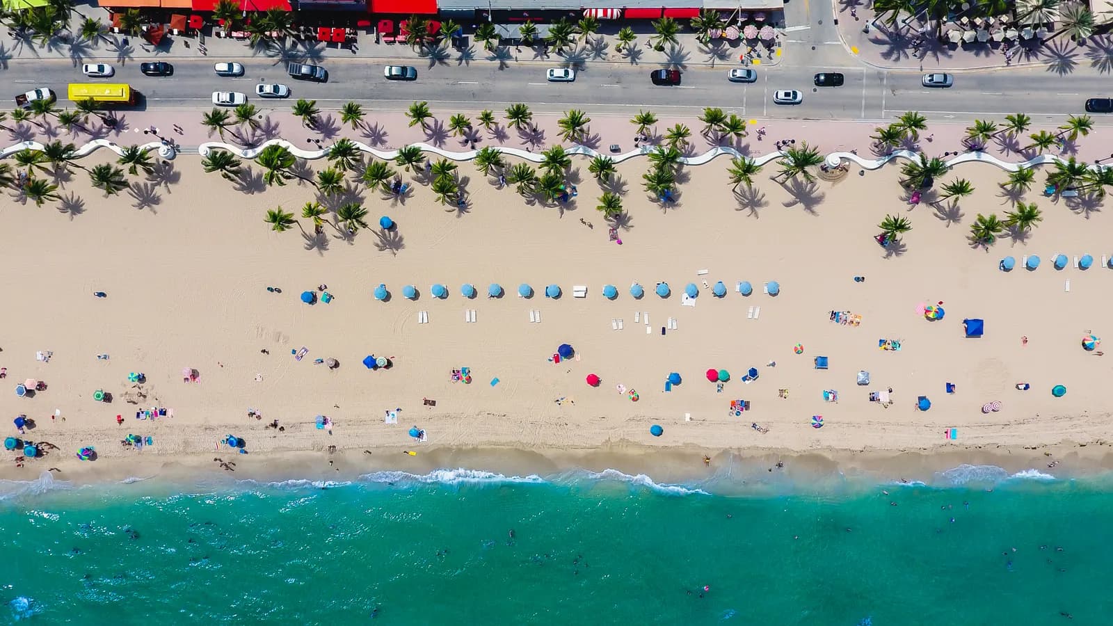 Fort Lauderdale beach seen from directly above, with rows of blue umbrellas and sunbathers on the sand, palm trees along a white wavy wall and cars on the beachfront road above the turquoise sea