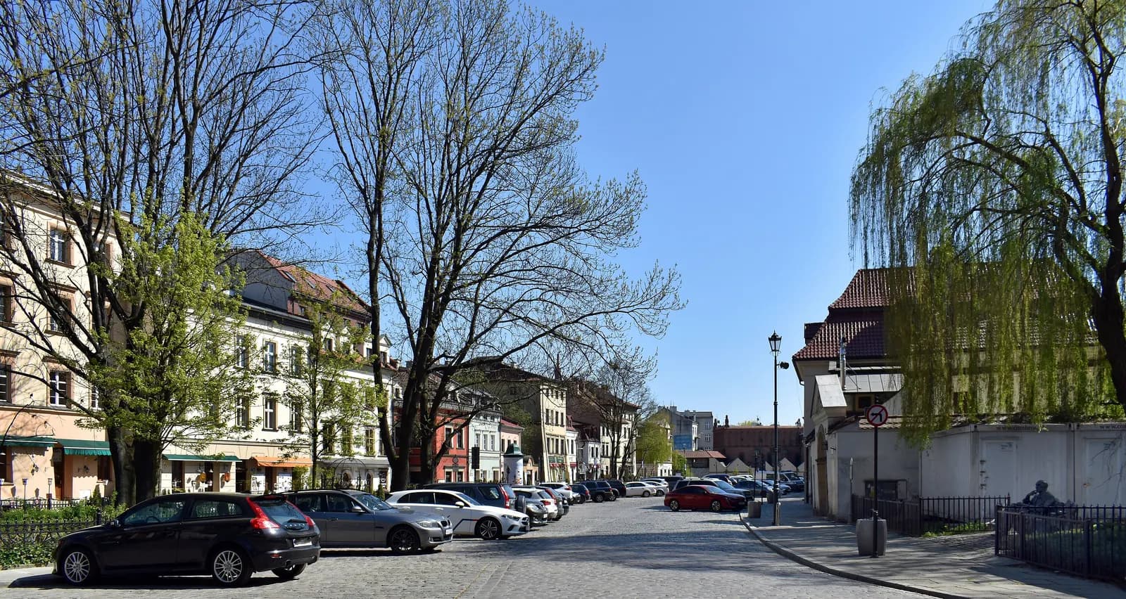 Szeroka Street in Kazimierz, a wide cobbled street with tall trees, a weeping willow and historic houses, with cars parked along one side
