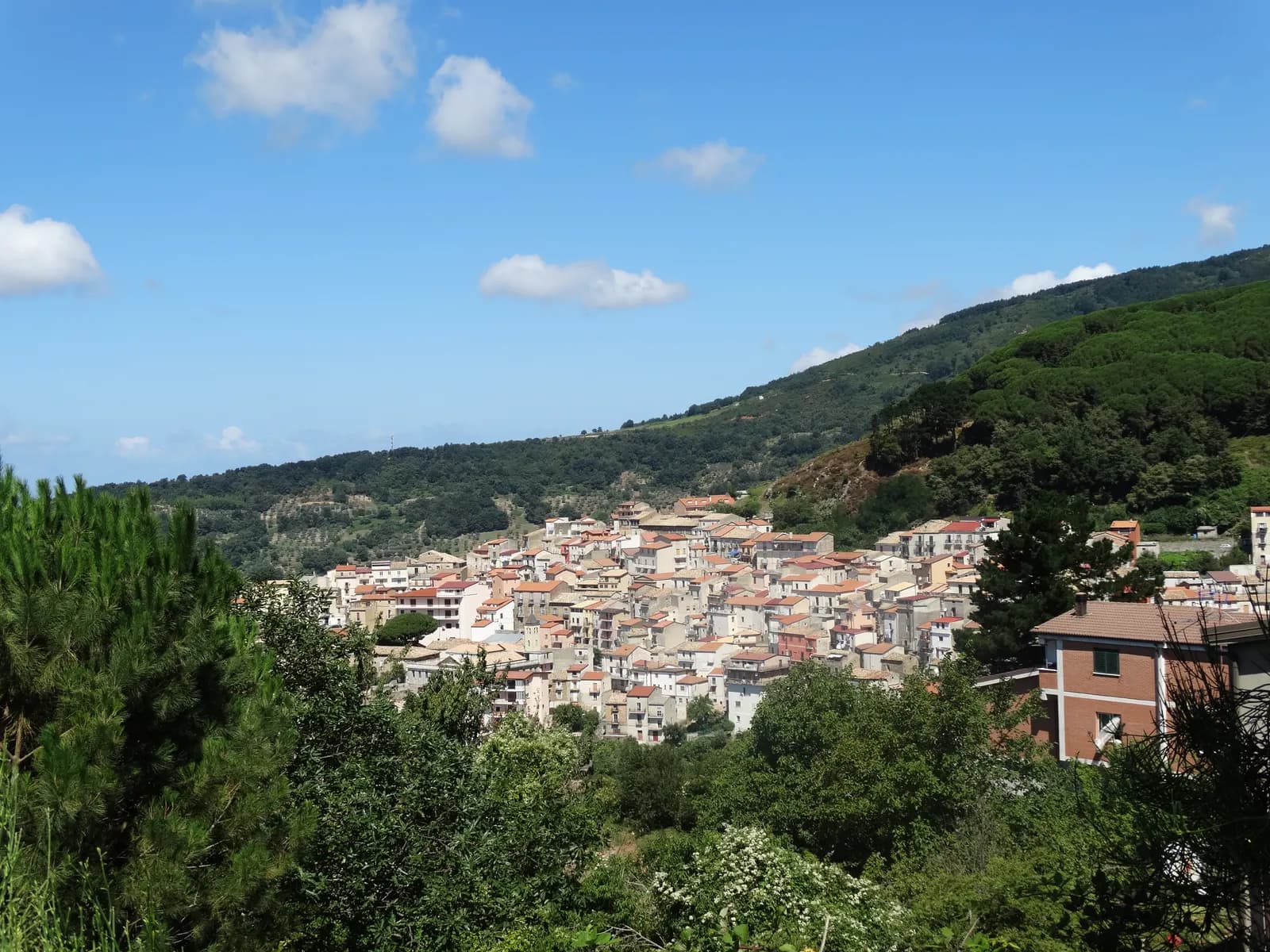 The hill village of Gizzeria seen across a wooded valley, its tiled roofs packed along a ridge below forested slopes under a blue sky.