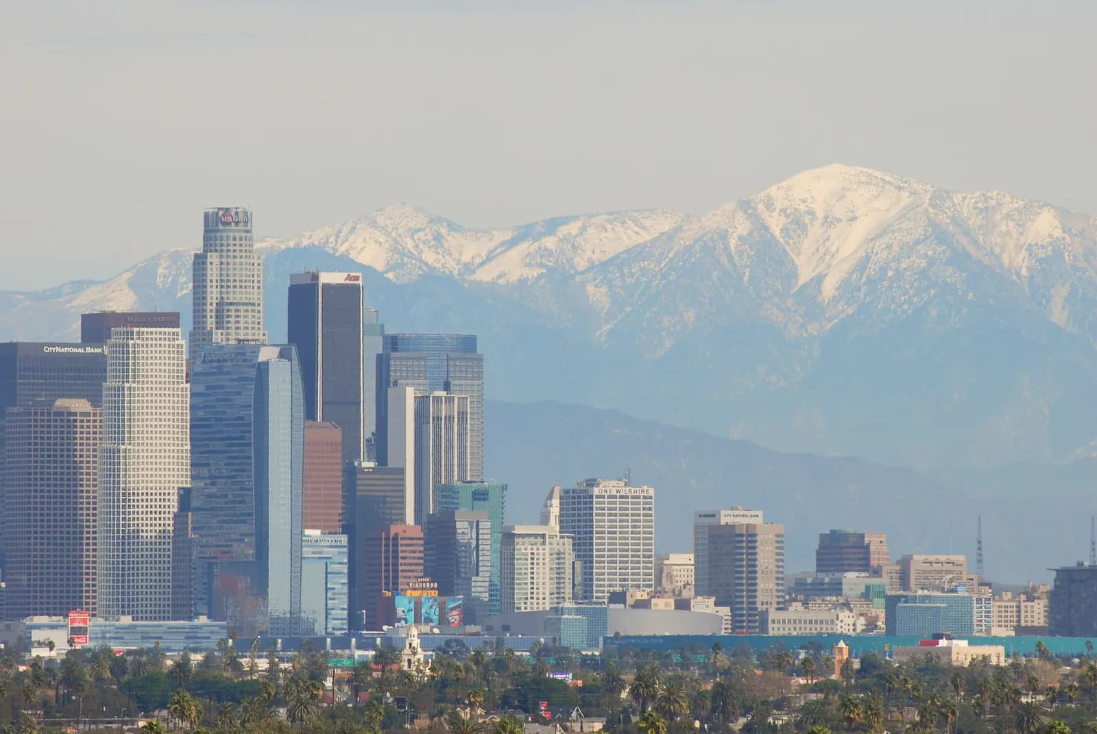 The towers of Downtown Los Angeles seen from Baldwin Hills, with snow on the San Gabriel Mountains behind and palm trees in the foreground