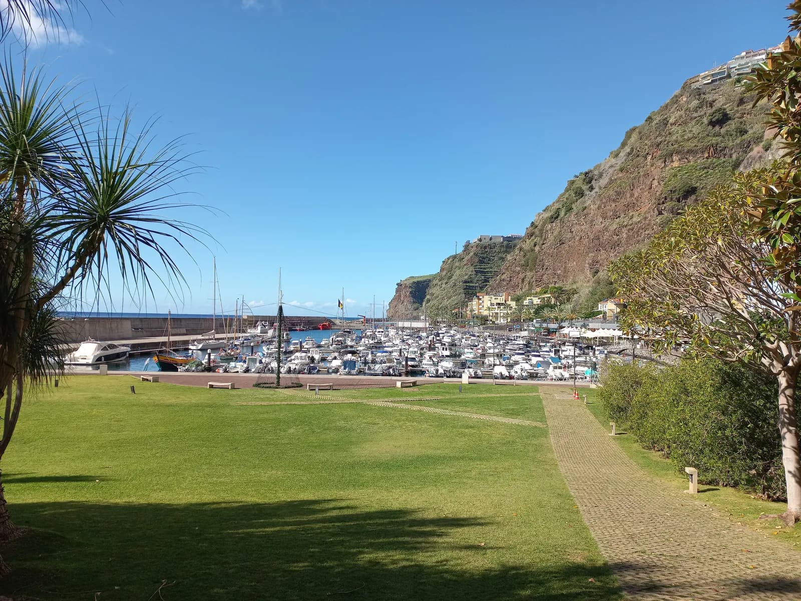 Calheta marina with moored boats below a steep green cliff, seen across a lawn and a paved path on a sunny day