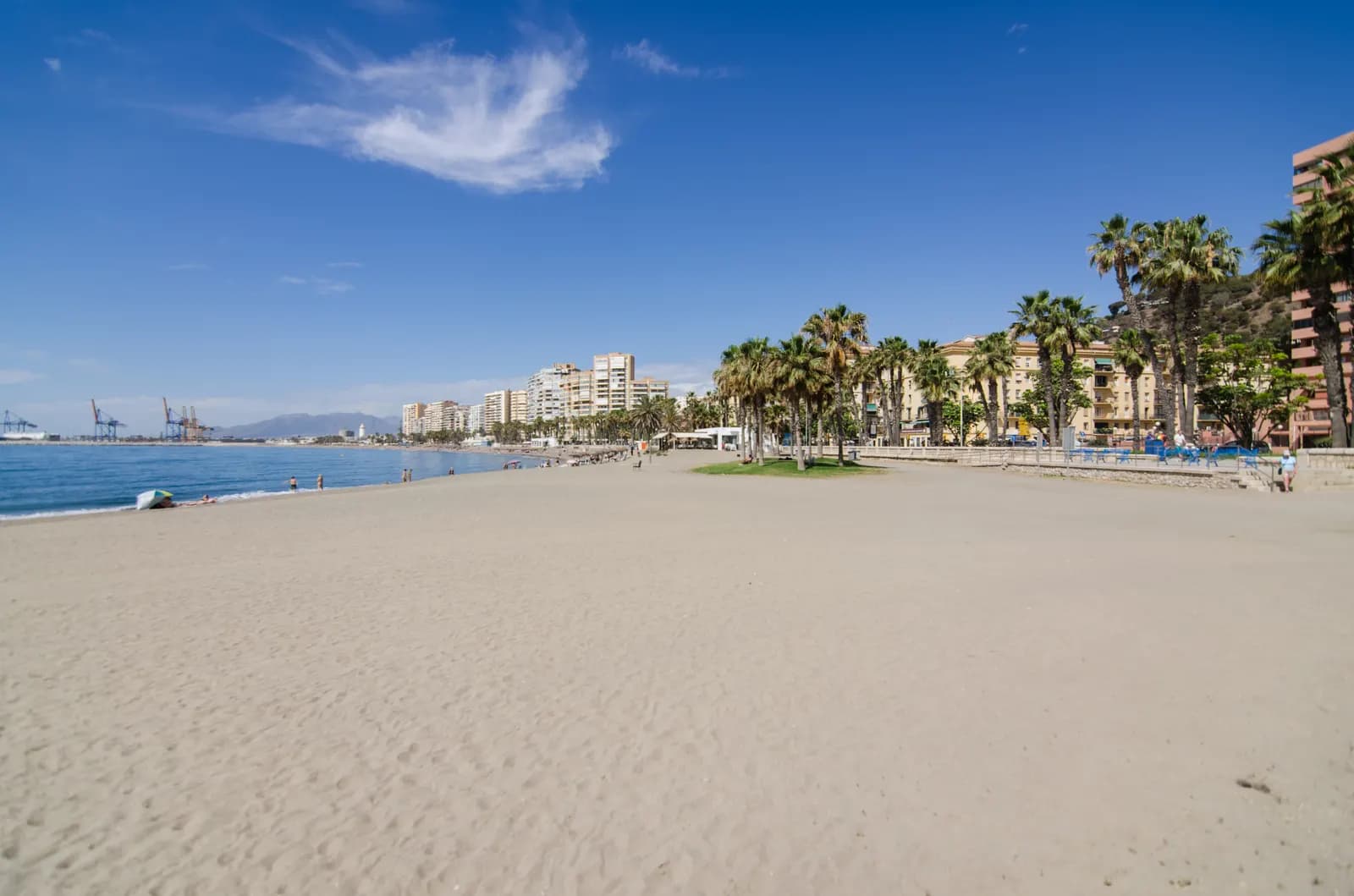 The wide sand of La Malagueta beach with palm trees and seafront apartment blocks.