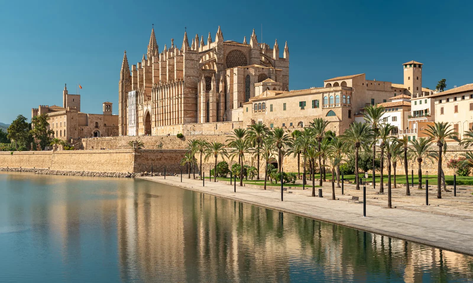 Palma Cathedral and the Almudaina palace above the old sea wall, reflected in the lake of the Parc de la Mar, with a row of palm trees on the promenade.