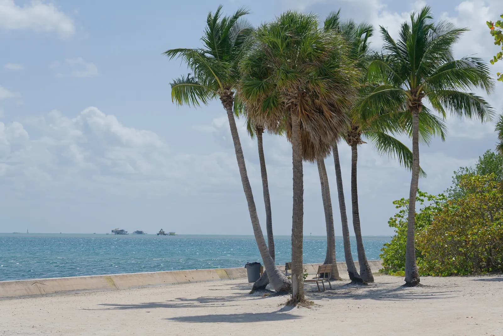 A cluster of palm trees on white sand beside a low seawall at Cape Florida on Key Biscayne, with the blue bay and small buildings on stilts in the distance