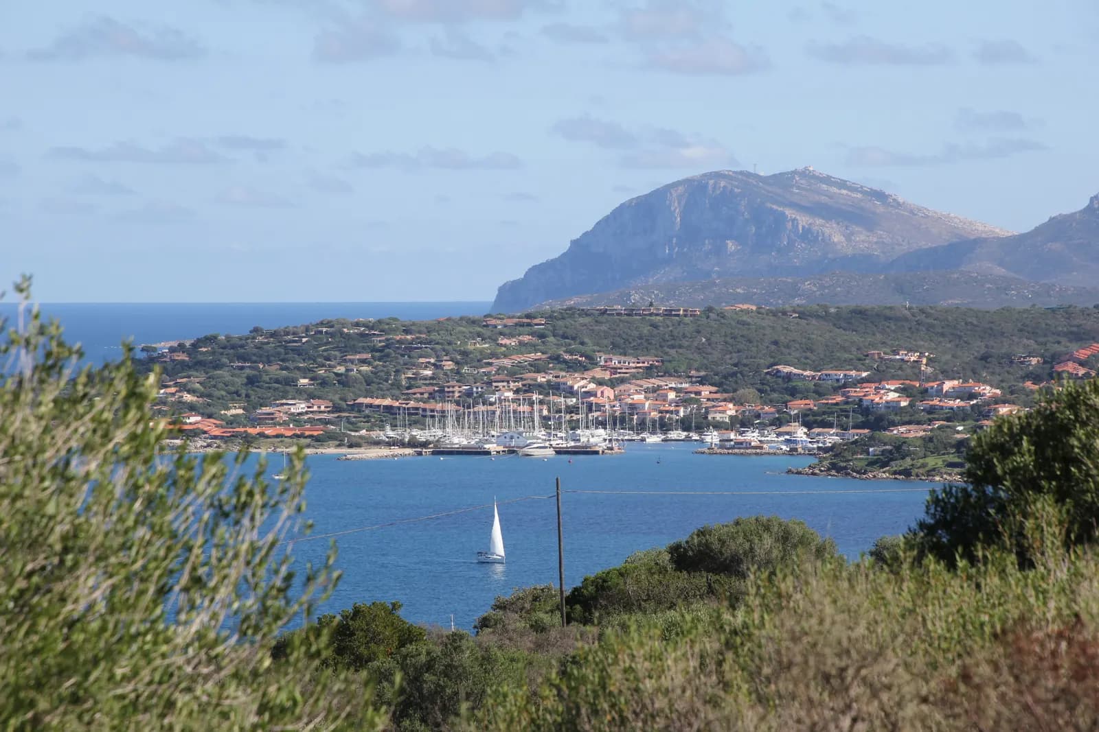 The marina at Porto Rotondo full of yachts, with red roofed houses on the slope behind and a headland beyond