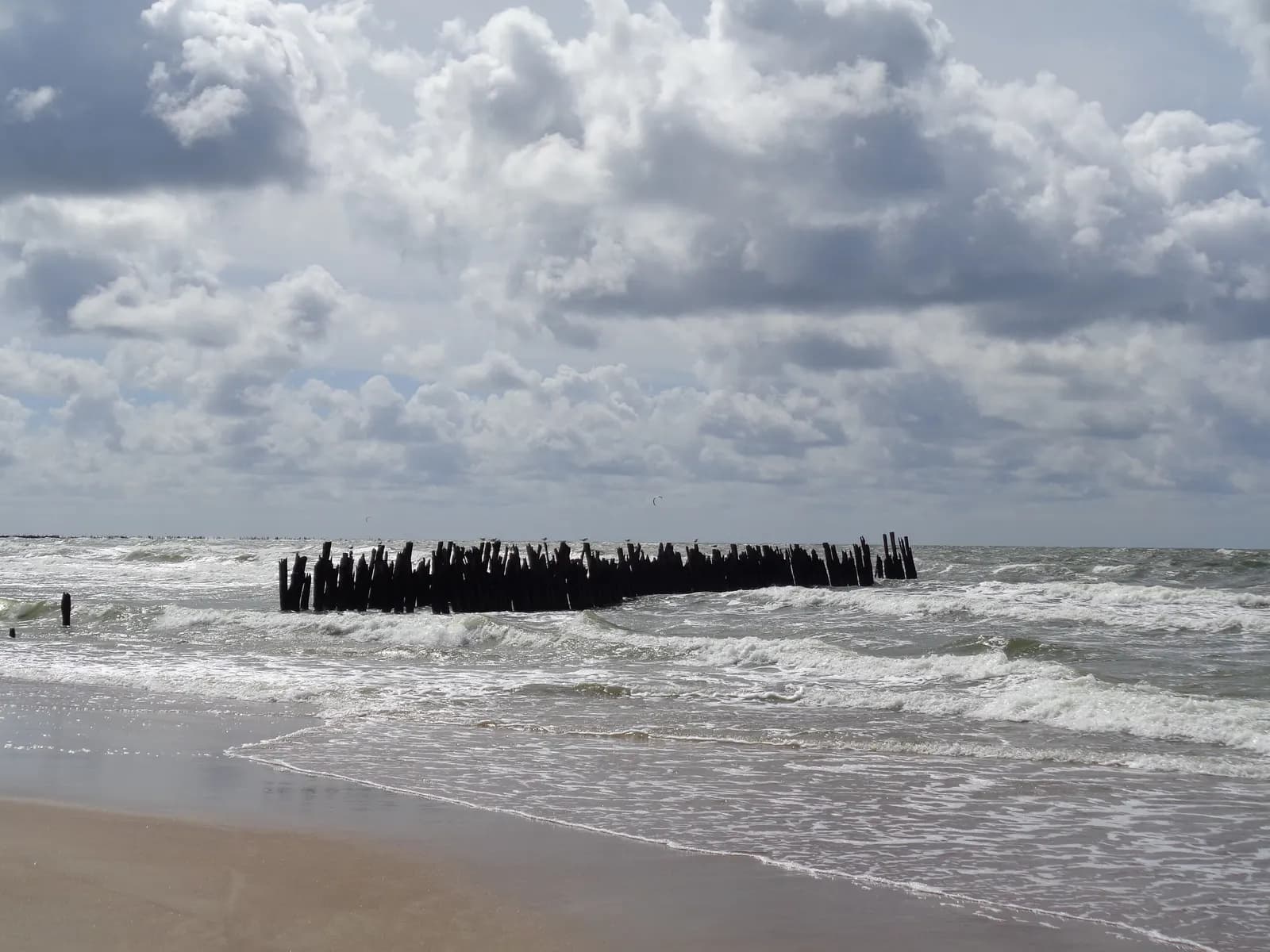 Old wooden posts standing in the surf off the beach at Šventoji, under heavy clouds