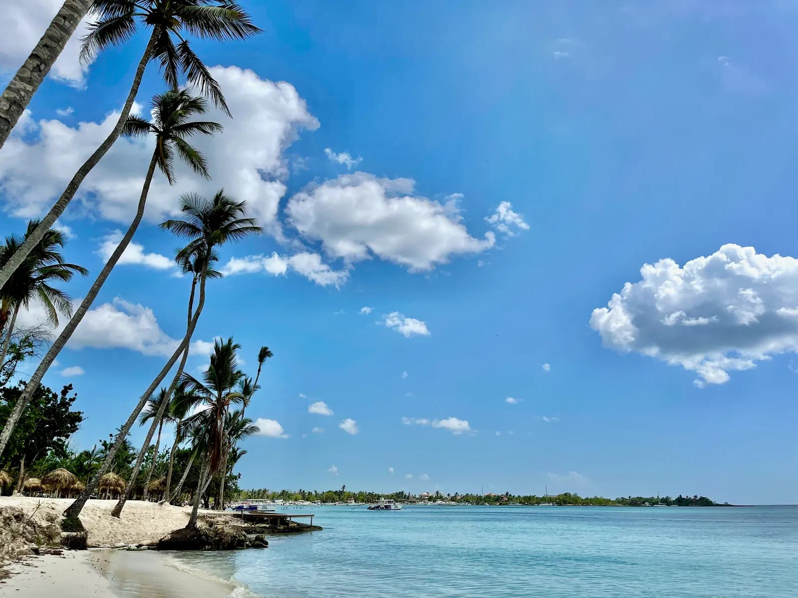 Leaning coconut palms and white sand on the beach at Bayahibe, with boats moored in the calm bay