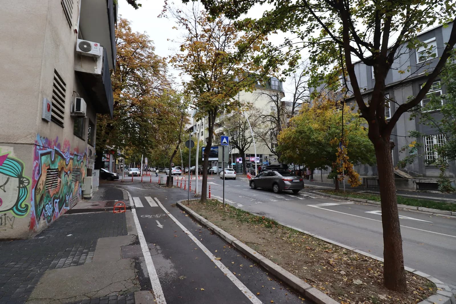 A tree-lined street in Debar Maalo, Skopje, with a cycle lane, a pedestrian crossing and autumn leaves on the pavement