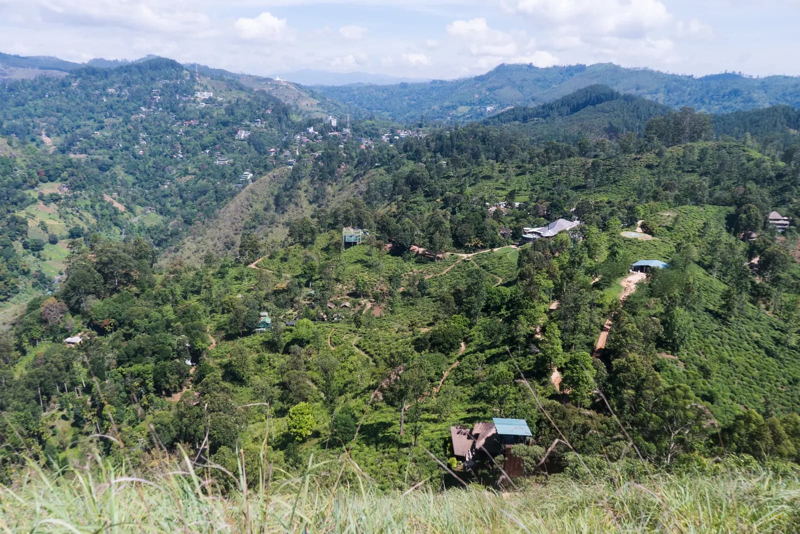 View from Little Adam's Peak over green hills, tea bushes and scattered houses towards the town of Ella