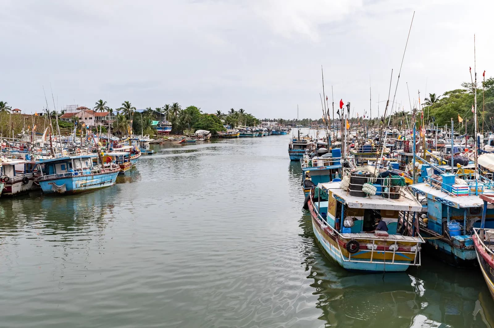 Painted fishing boats moored along a channel of the Negombo Lagoon, with palm trees and houses on the banks under a cloudy sky