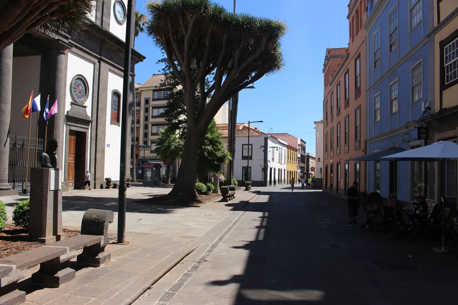 Pedestrian street in the old town of San Cristóbal de La Laguna with a dragon tree, a church front and painted colonial houses
