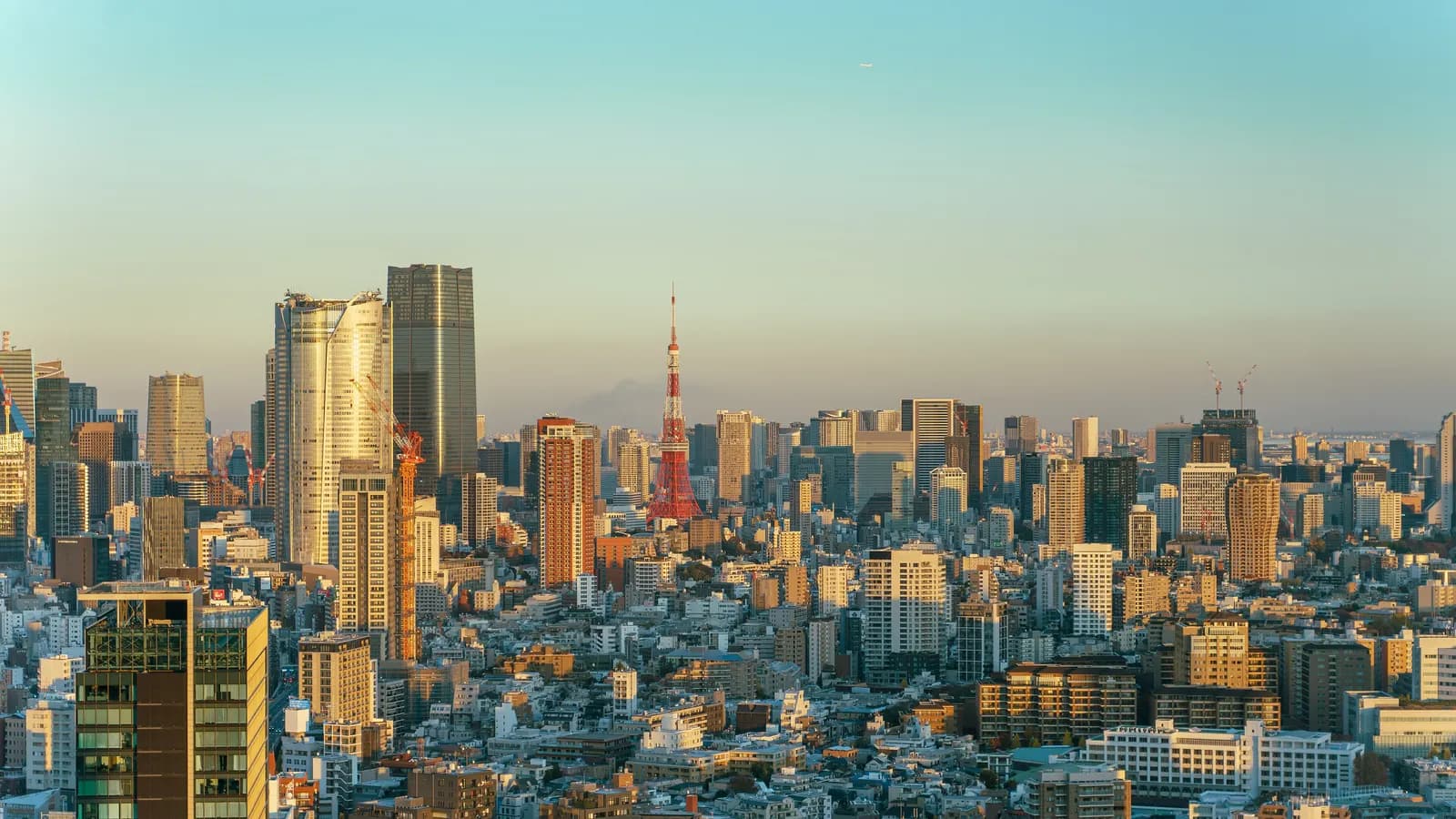 The Tokyo skyline over Minato in late afternoon sun, with the red and white Tokyo Tower among office and apartment towers