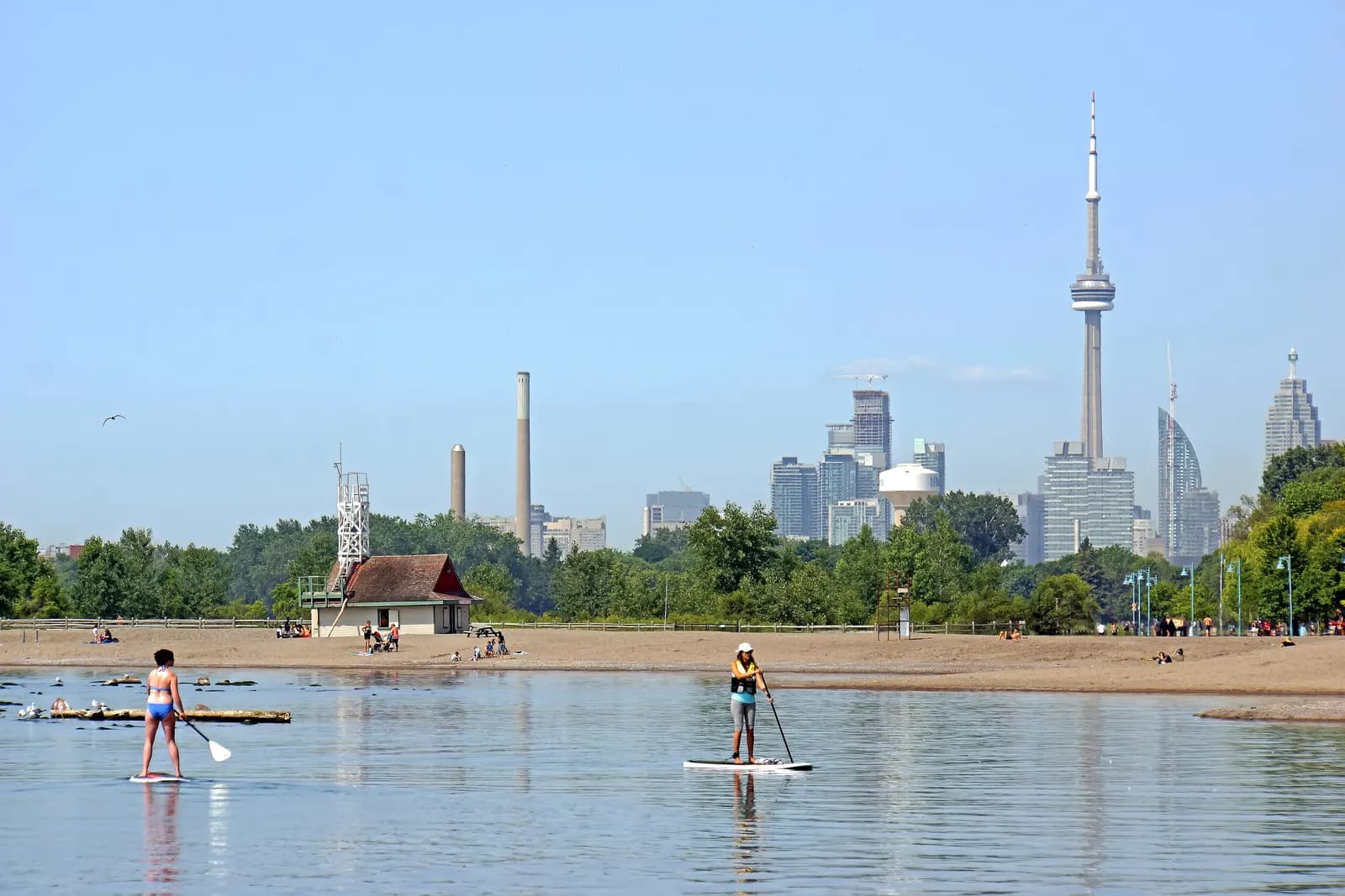 Paddleboarders on Lake Ontario off a sandy beach in The Beaches, with a lifeguard hut, and the CN Tower and downtown towers in the distance