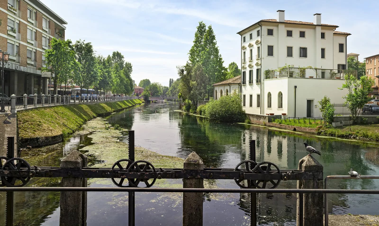 The river Sile in Treviso seen west from the San Martino bridge, with old sluice gearing in the foreground, a tree-lined riverside road on the left and a white villa on the right.