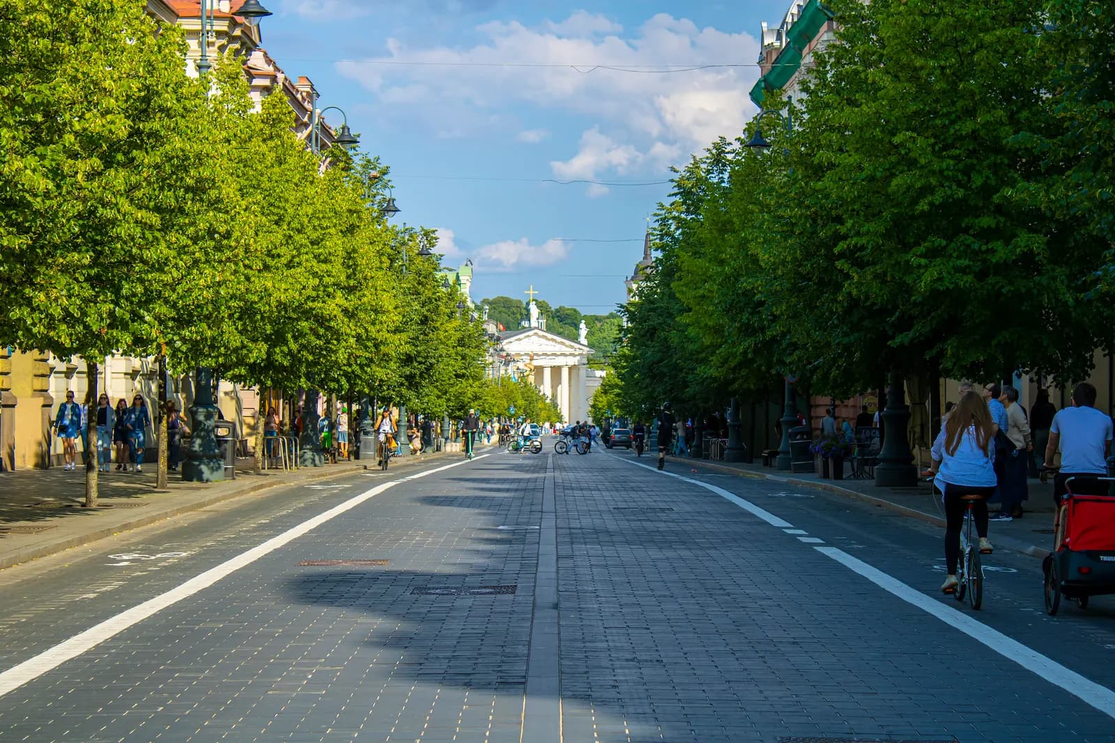 Gediminas Avenue in Vilnius lined with trees, with cyclists on the roadway and the Cathedral at the far end