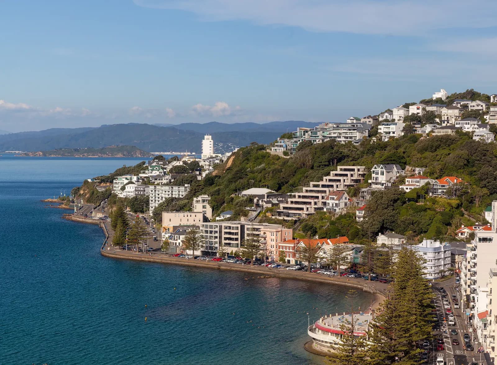 Oriental Bay in Wellington, with apartment buildings along the waterfront road, parked cars and houses climbing the green hillside above